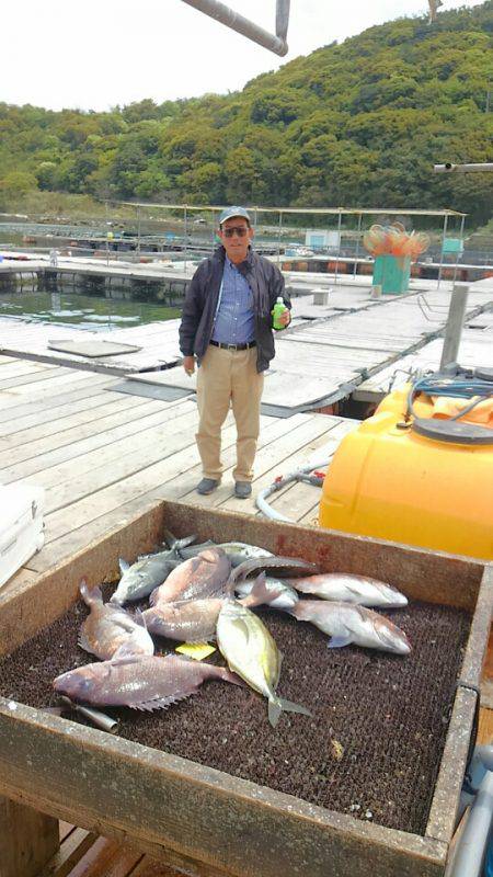 海の釣堀 海恵 釣果