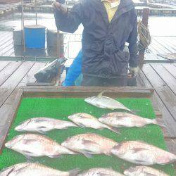 海の釣堀 海恵 釣果
