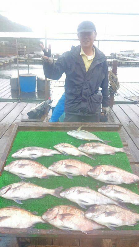 海の釣堀 海恵 釣果