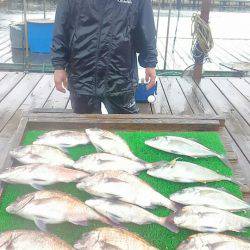 海の釣堀 海恵 釣果