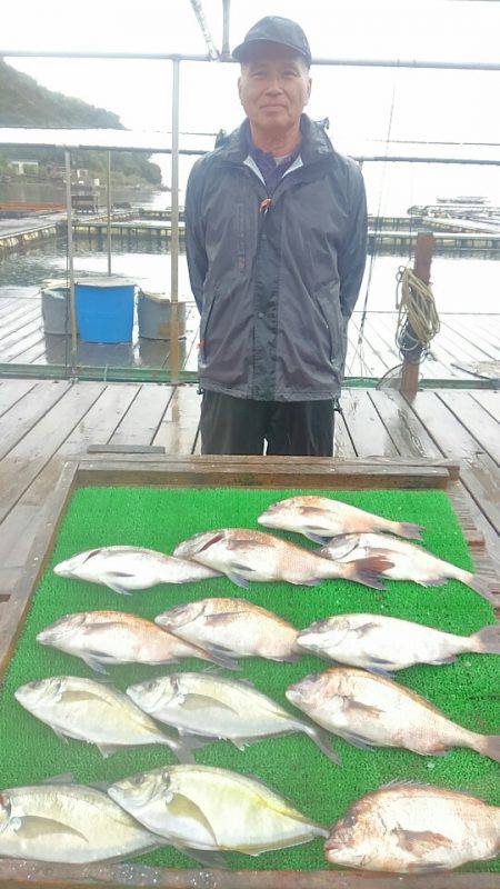 海の釣堀 海恵 釣果