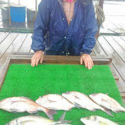 海の釣堀 海恵 釣果