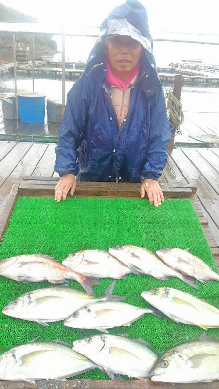 海の釣堀 海恵 釣果