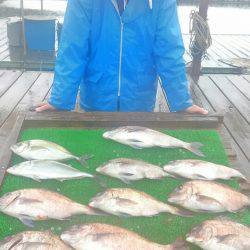 海の釣堀 海恵 釣果