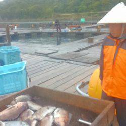 海の釣堀 海恵 釣果