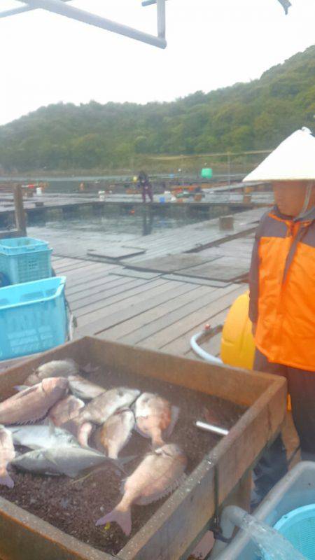 海の釣堀 海恵 釣果