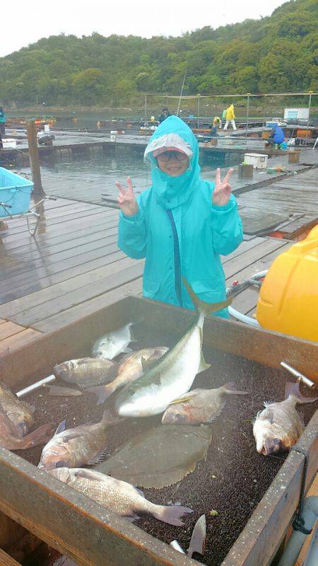 海の釣堀 海恵 釣果