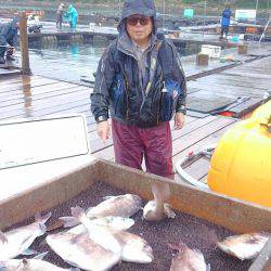 海の釣堀 海恵 釣果