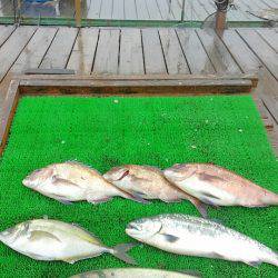 海の釣堀 海恵 釣果