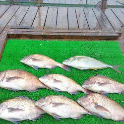 海の釣堀 海恵 釣果
