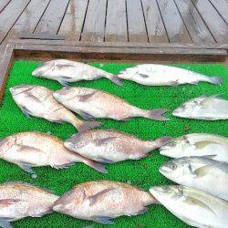 海の釣堀 海恵 釣果