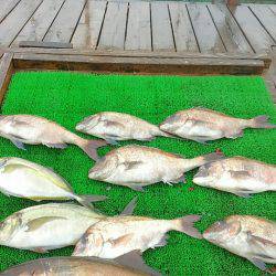 海の釣堀 海恵 釣果