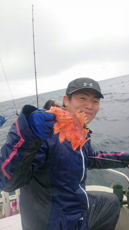 ARCADIAⅡ （アルカディアⅡ） 釣果