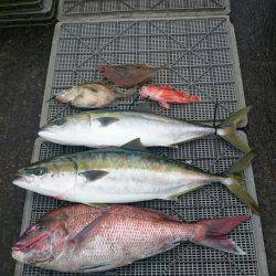 ARCADIAⅡ （アルカディアⅡ） 釣果