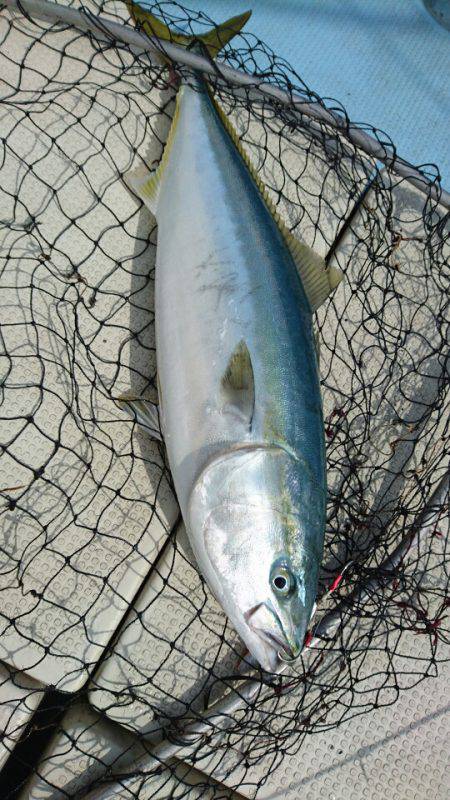 あみや渡船 JIGBOY 釣果