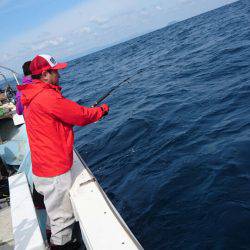 あみや渡船 JIGBOY 釣果