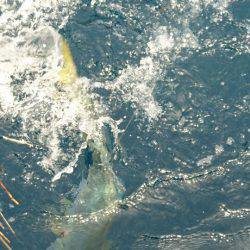 あみや渡船 JIGBOY 釣果