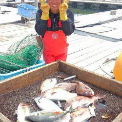 海の釣堀 海恵 釣果