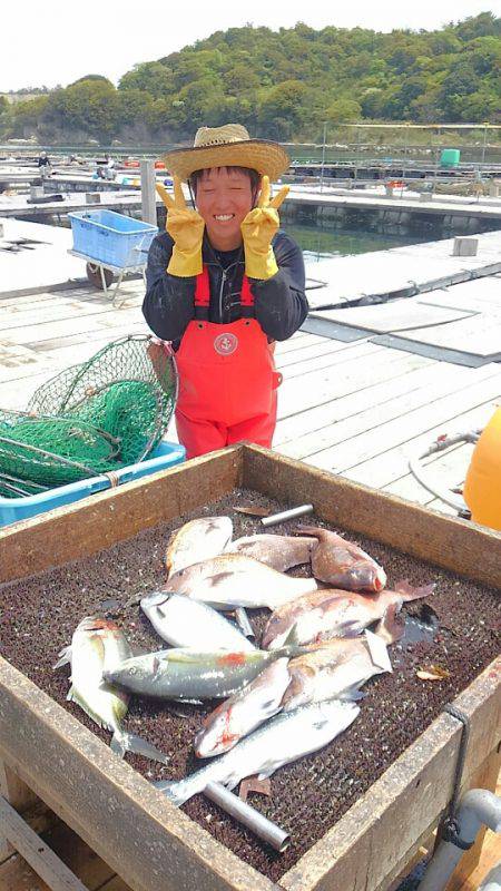 海の釣堀 海恵 釣果