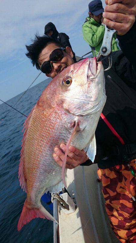 ARCADIAⅡ (アルカディアⅡ) 釣果