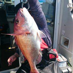 ARCADIAⅡ （アルカディアⅡ） 釣果