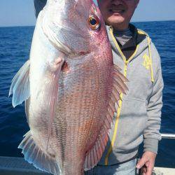 ARCADIAⅡ （アルカディアⅡ） 釣果