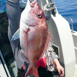 ARCADIAⅡ （アルカディアⅡ） 釣果