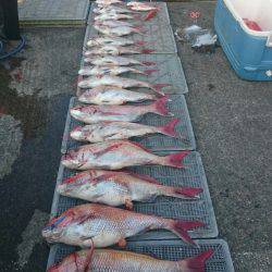 ARCADIAⅡ （アルカディアⅡ） 釣果