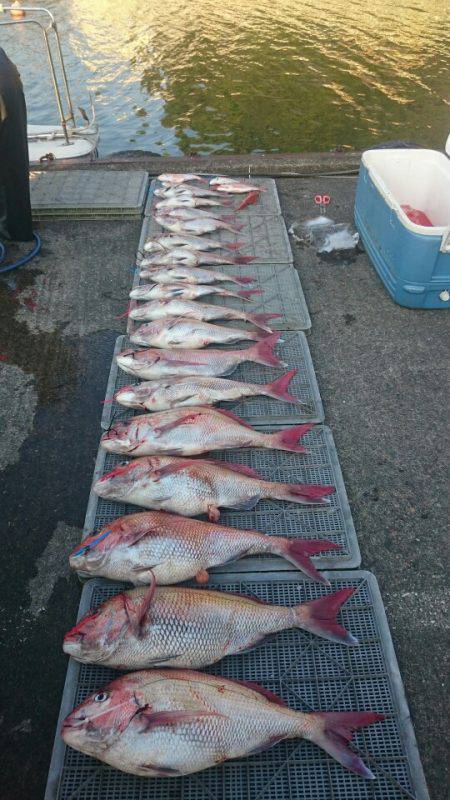 ARCADIAⅡ （アルカディアⅡ） 釣果