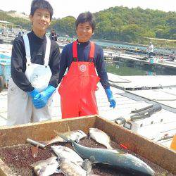 海の釣堀 海恵 釣果