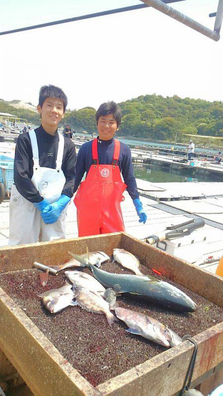 海の釣堀 海恵 釣果