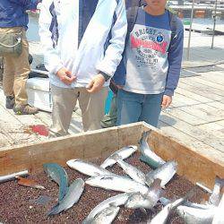 海の釣堀 海恵 釣果