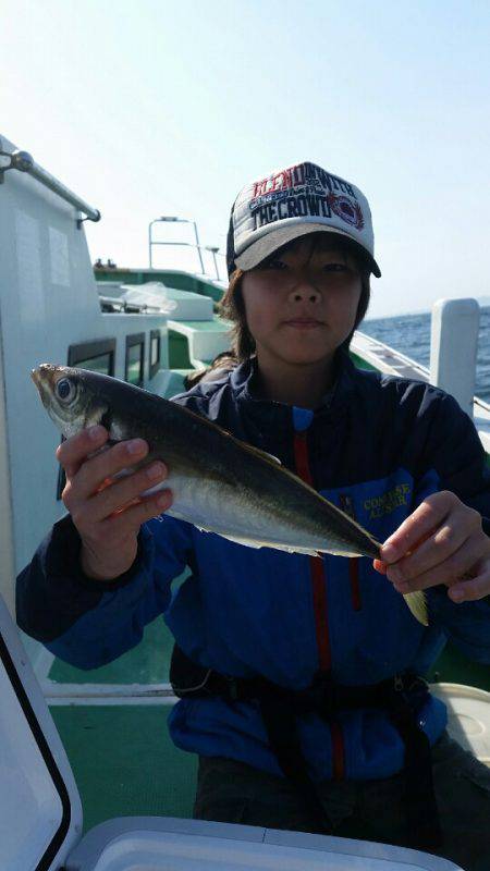 金沢八景鴨下丸 釣果