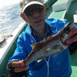 金沢八景鴨下丸 釣果