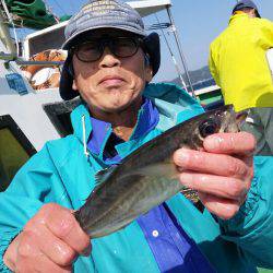 金沢八景鴨下丸 釣果