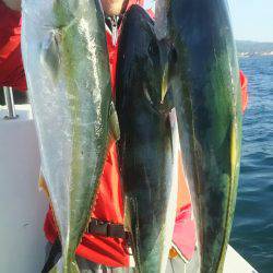 サンマリン 釣果