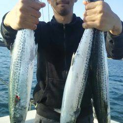 サンマリン 釣果