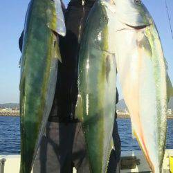 サンマリン 釣果