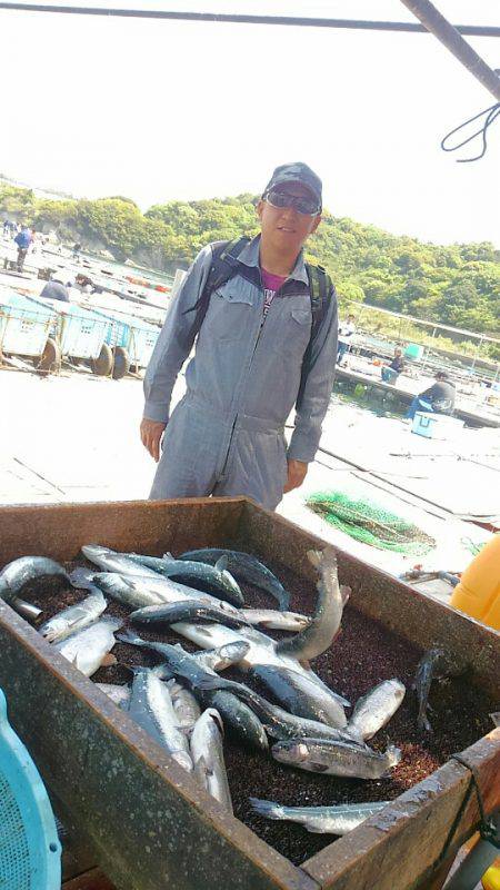 海の釣堀 海恵 釣果