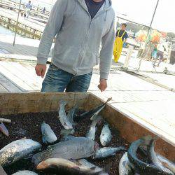 海の釣堀 海恵 釣果