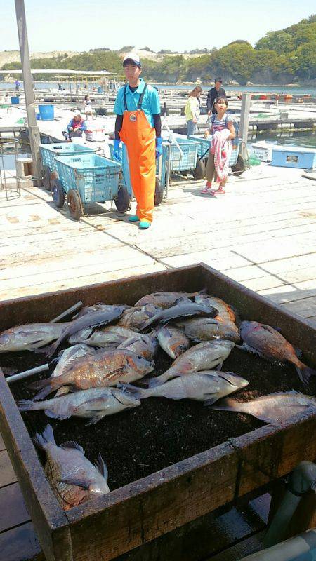 海の釣堀 海恵 釣果