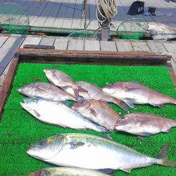 海の釣堀 海恵 釣果