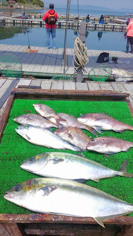 海の釣堀 海恵 釣果