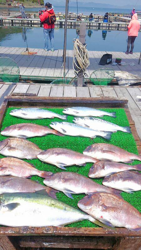 海の釣堀 海恵 釣果