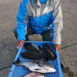 第三共栄丸 釣果