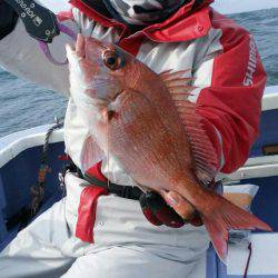 新幸丸 釣果