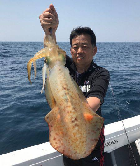 South Current 釣果