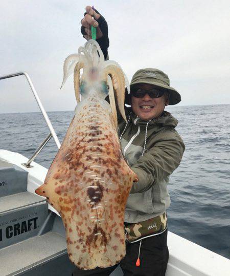 South Current 釣果