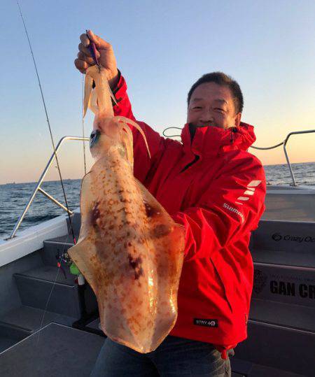 South Current 釣果