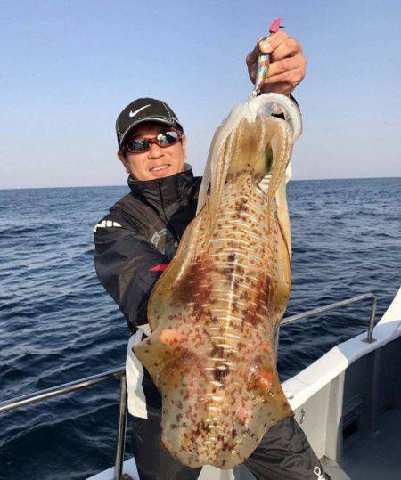 South Current 釣果